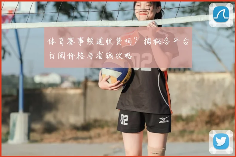 体育赛事频道收费吗?揭秘各平台订阅价格与省钱攻略