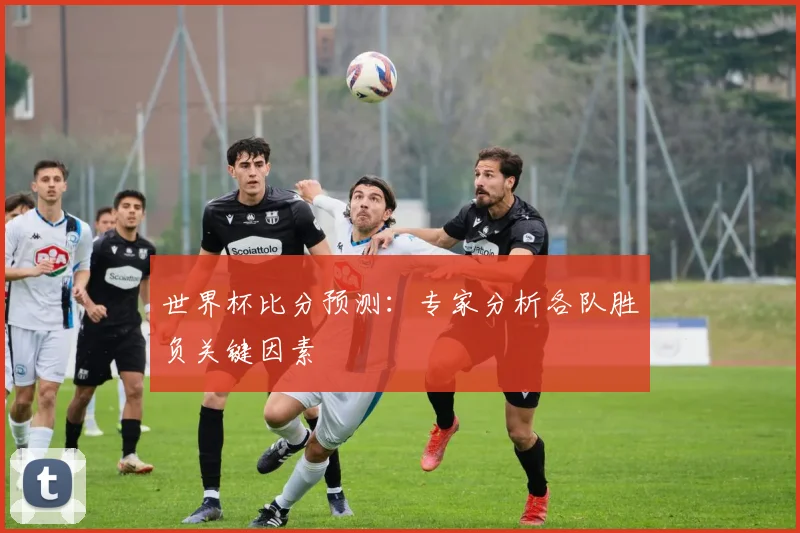 世界杯比分预测：专家分析各队胜负关键因素