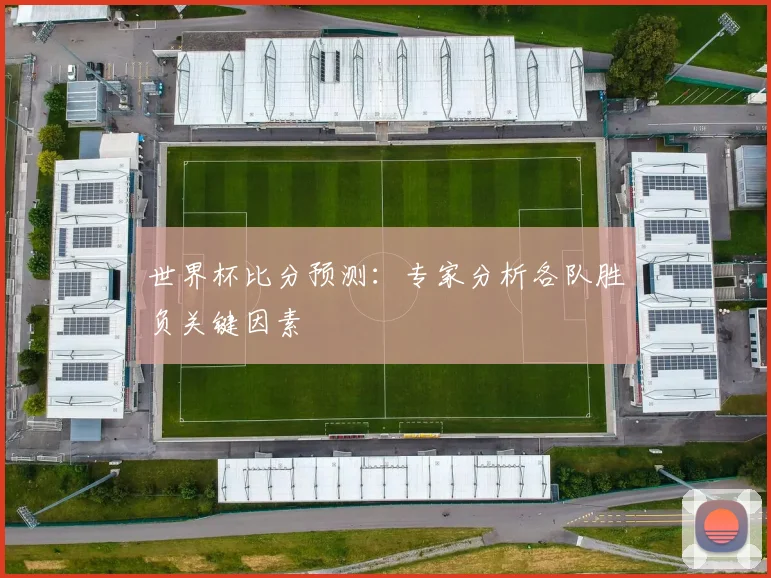 世界杯比分预测：专家分析各队胜负关键因素